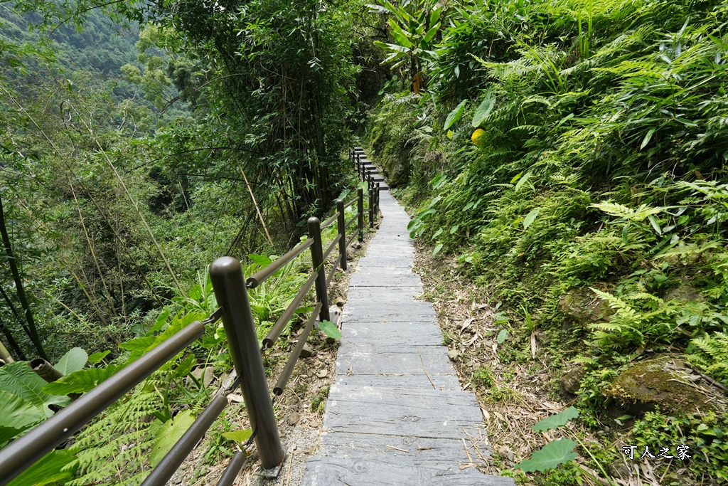 嘉義景點步道,青年嶺步道-新木棧道 嘉義景點步道,青年嶺步道-新木棧道