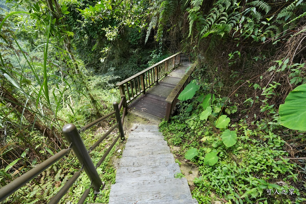 嘉義景點步道,青年嶺步道-新木棧道
