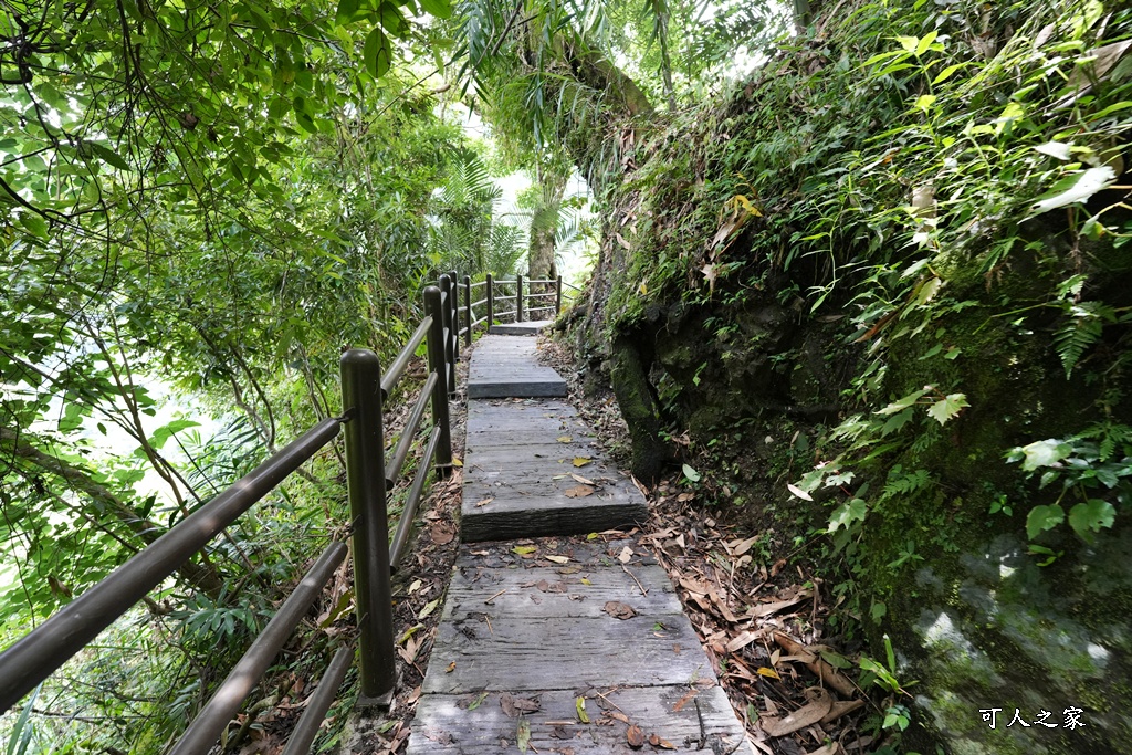 嘉義景點步道,青年嶺步道-新木棧道 嘉義景點步道,青年嶺步道-新木棧道