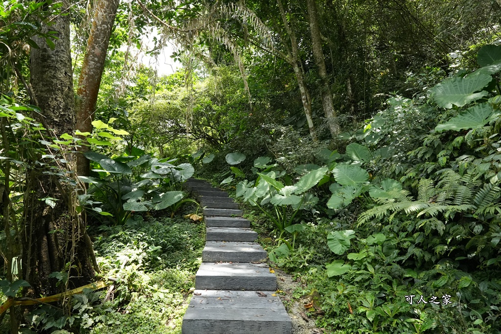 嘉義景點步道,青年嶺步道-新木棧道 嘉義景點步道,青年嶺步道-新木棧道