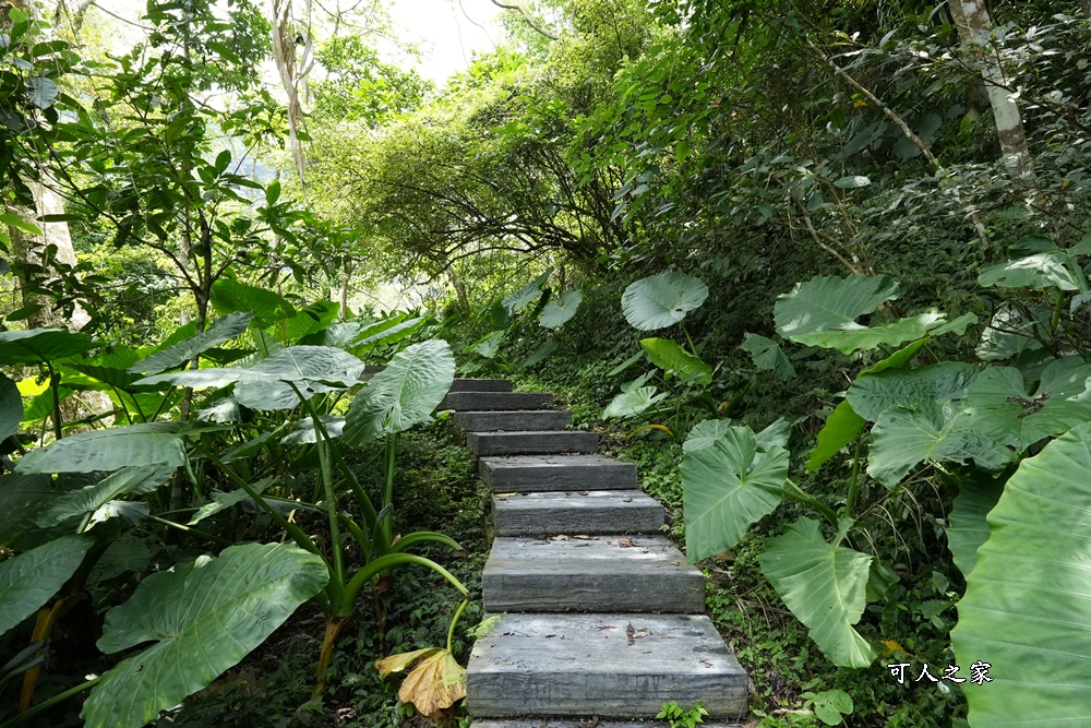 嘉義景點步道,青年嶺步道-新木棧道 嘉義景點步道,青年嶺步道-新木棧道
