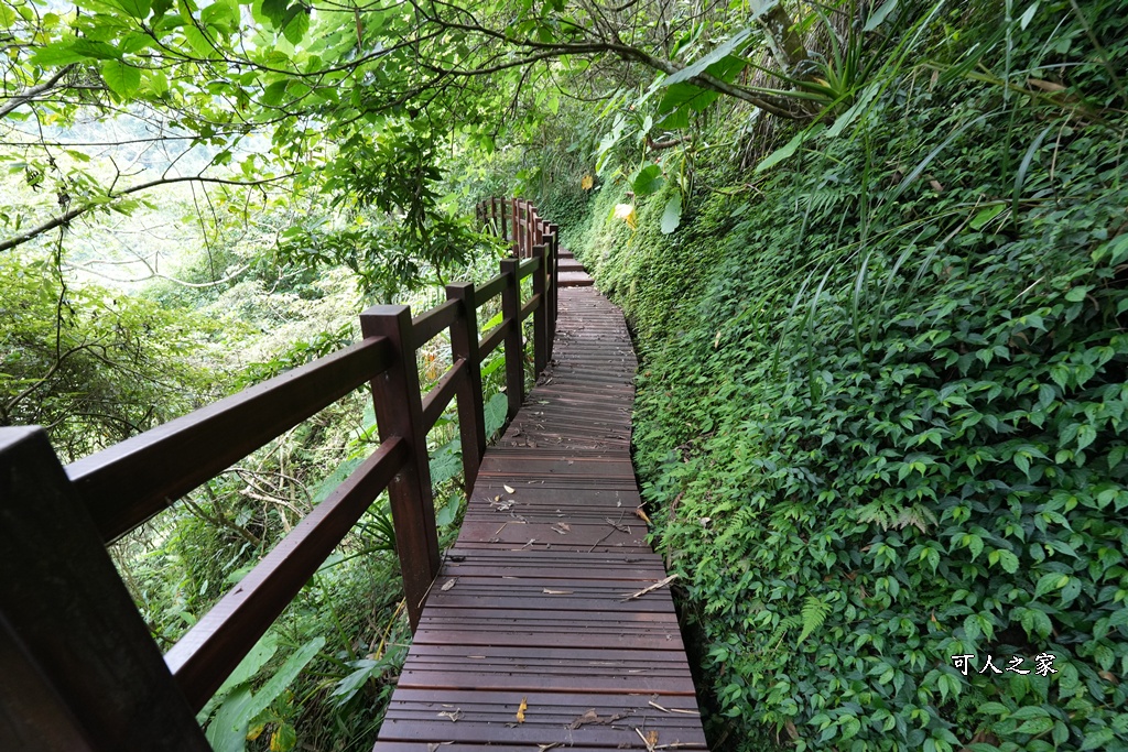 嘉義景點步道,青年嶺步道-新木棧道 嘉義景點步道,青年嶺步道-新木棧道