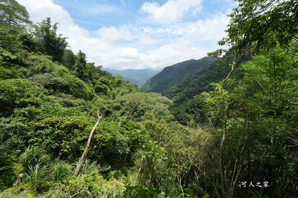 嘉義景點步道,青年嶺步道-新木棧道 嘉義景點步道,青年嶺步道-新木棧道