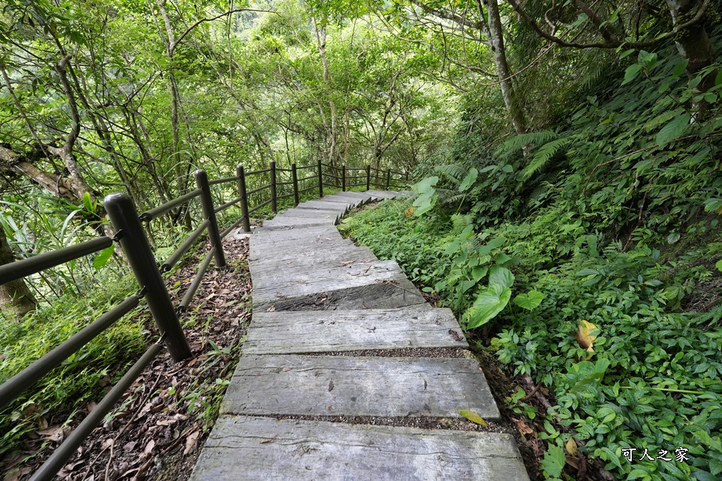 嘉義景點步道,青年嶺步道-新木棧道