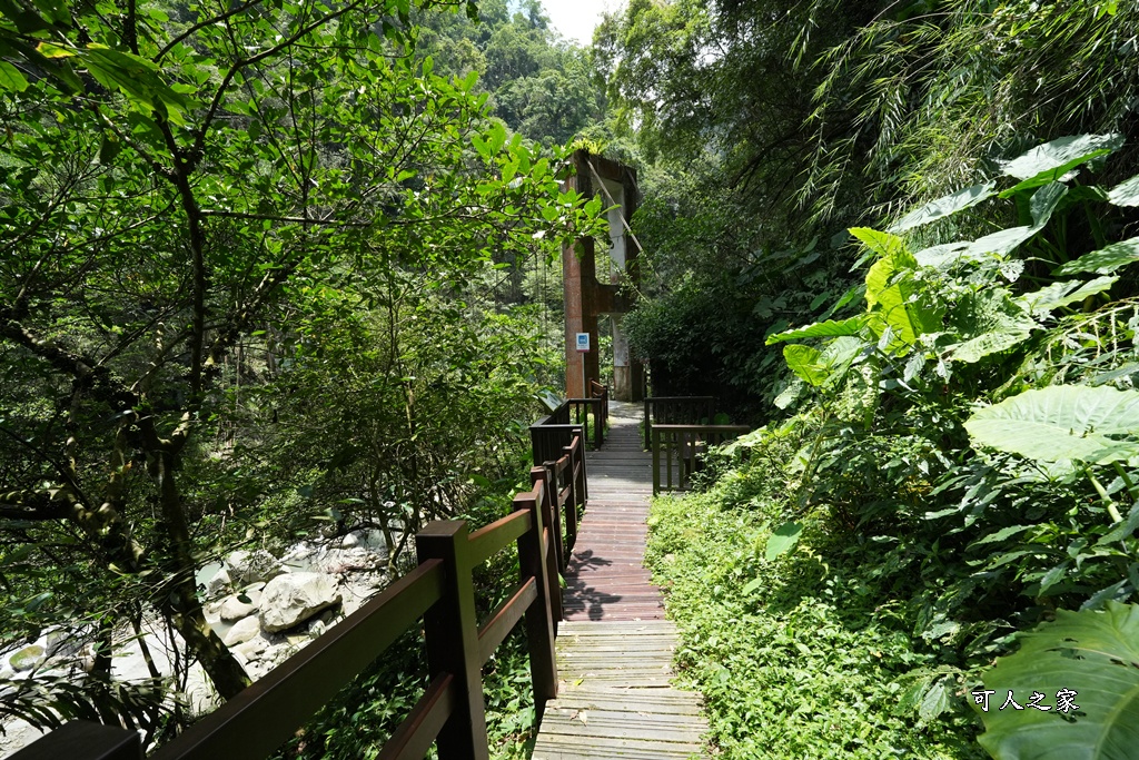 嘉義景點步道,青年嶺步道-新木棧道 嘉義景點步道,青年嶺步道-新木棧道