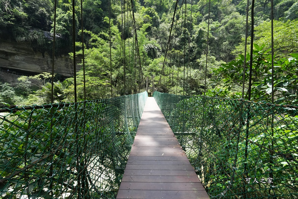 嘉義景點步道,青年嶺步道-新木棧道 嘉義景點步道,青年嶺步道-新木棧道