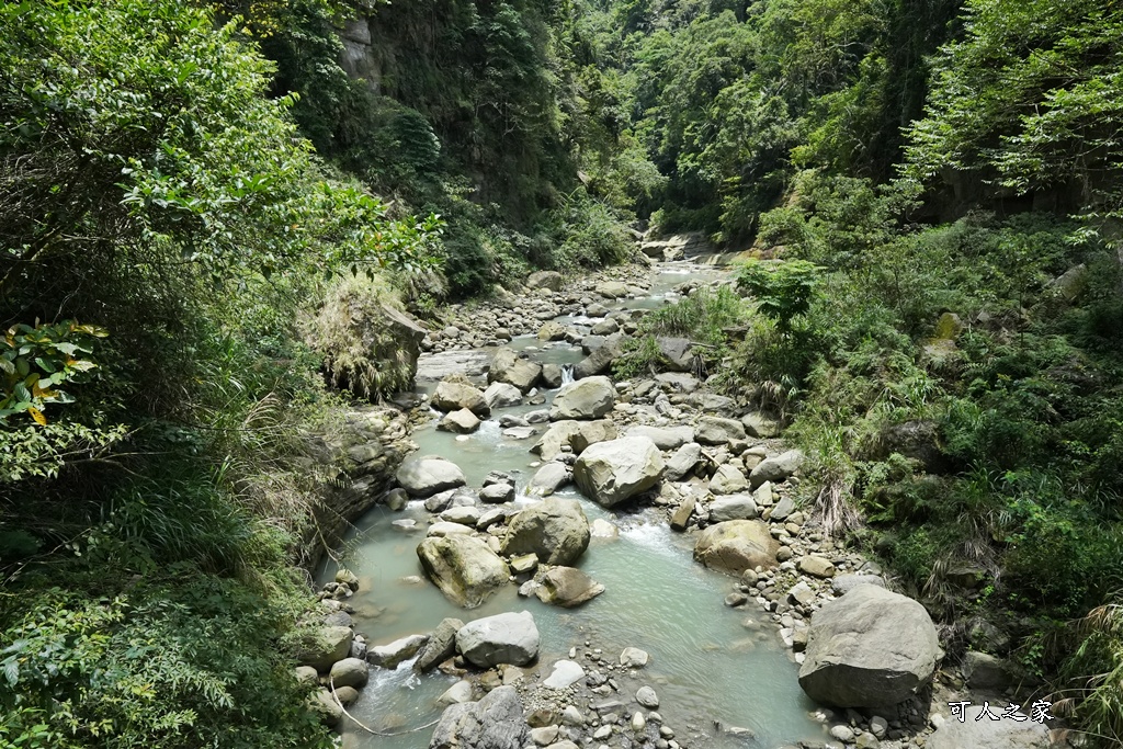 嘉義景點步道,青年嶺步道-新木棧道 嘉義景點步道,青年嶺步道-新木棧道