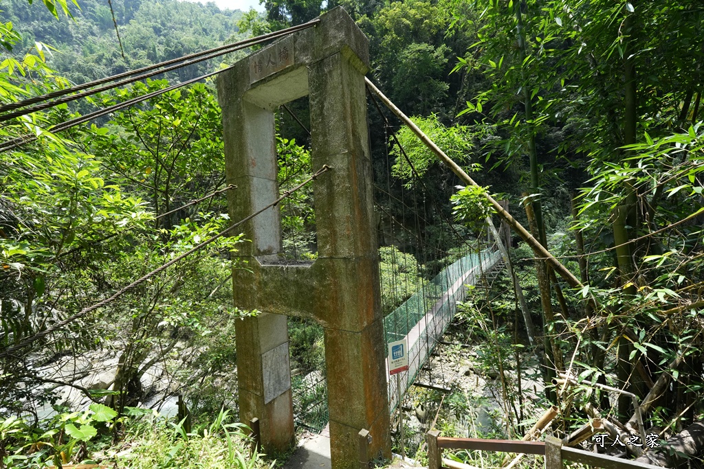 嘉義景點步道,青年嶺步道-新木棧道 嘉義景點步道,青年嶺步道-新木棧道