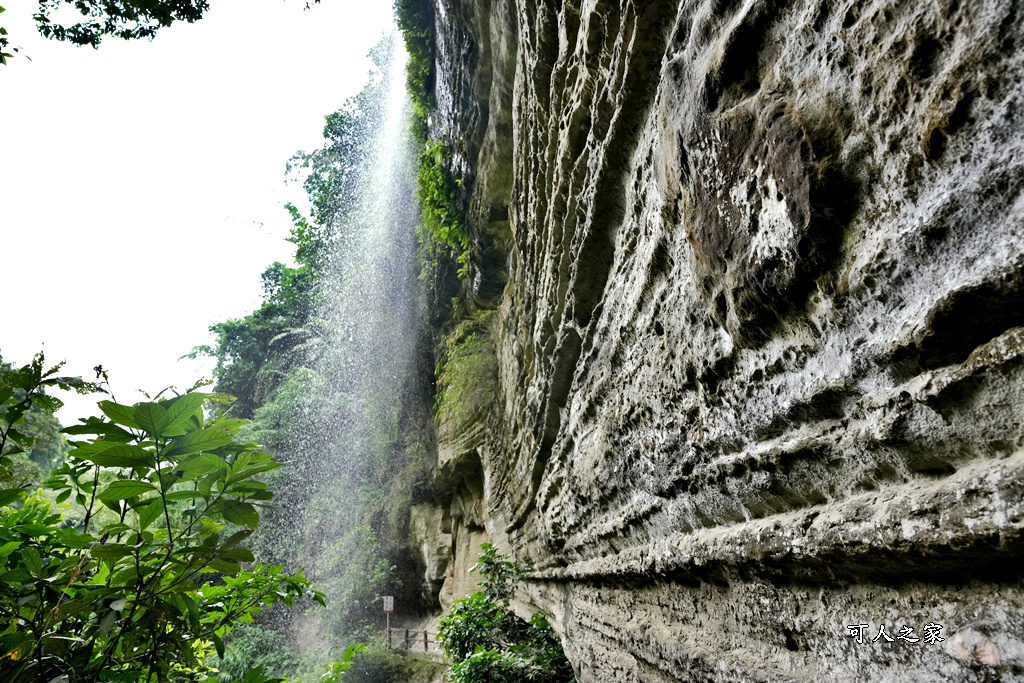 嘉義景點步道,青年嶺步道-新木棧道