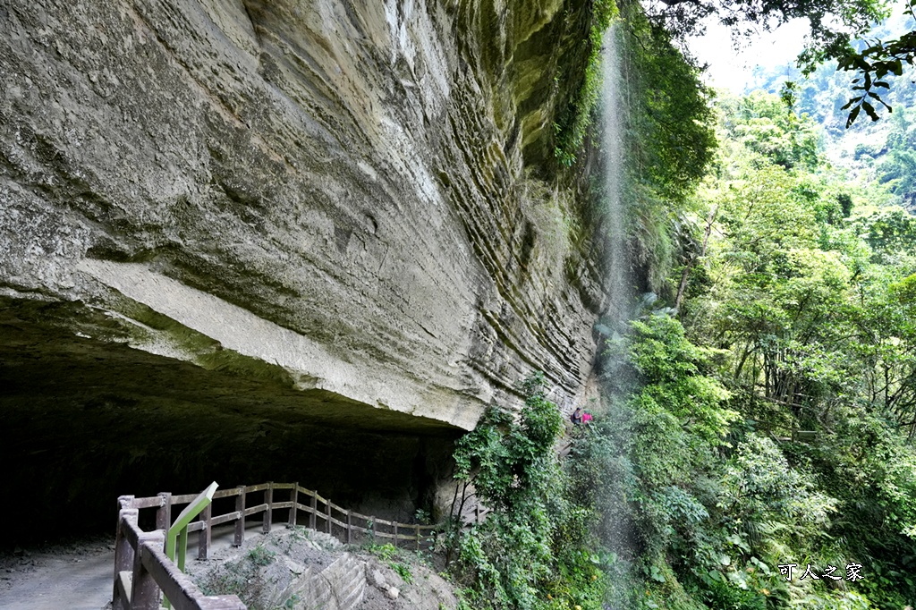 嘉義景點步道,青年嶺步道-新木棧道 嘉義景點步道,青年嶺步道-新木棧道