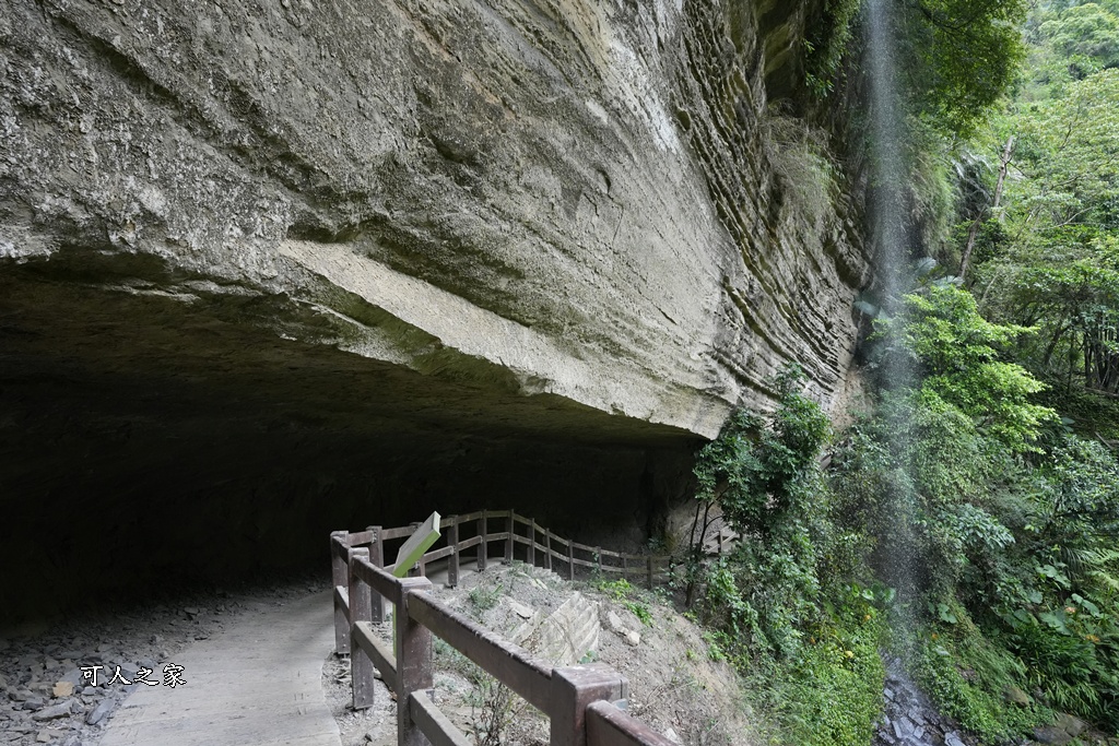 嘉義景點步道,青年嶺步道-新木棧道 嘉義景點步道,青年嶺步道-新木棧道