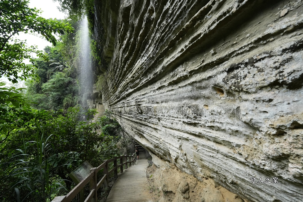 嘉義景點步道,青年嶺步道-新木棧道 嘉義景點步道,青年嶺步道-新木棧道