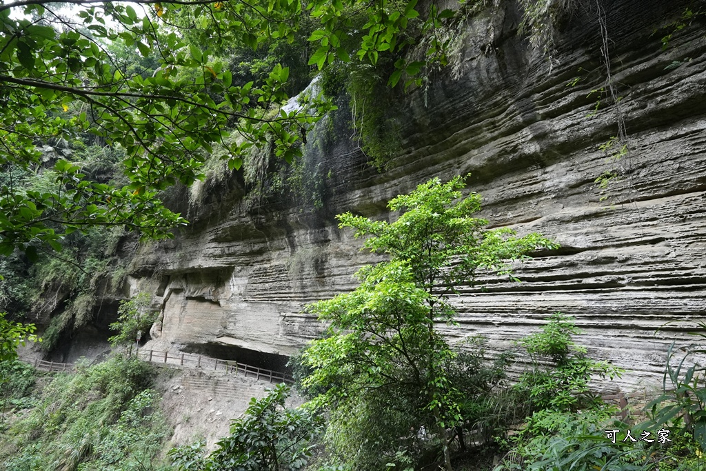 嘉義景點步道,青年嶺步道-新木棧道