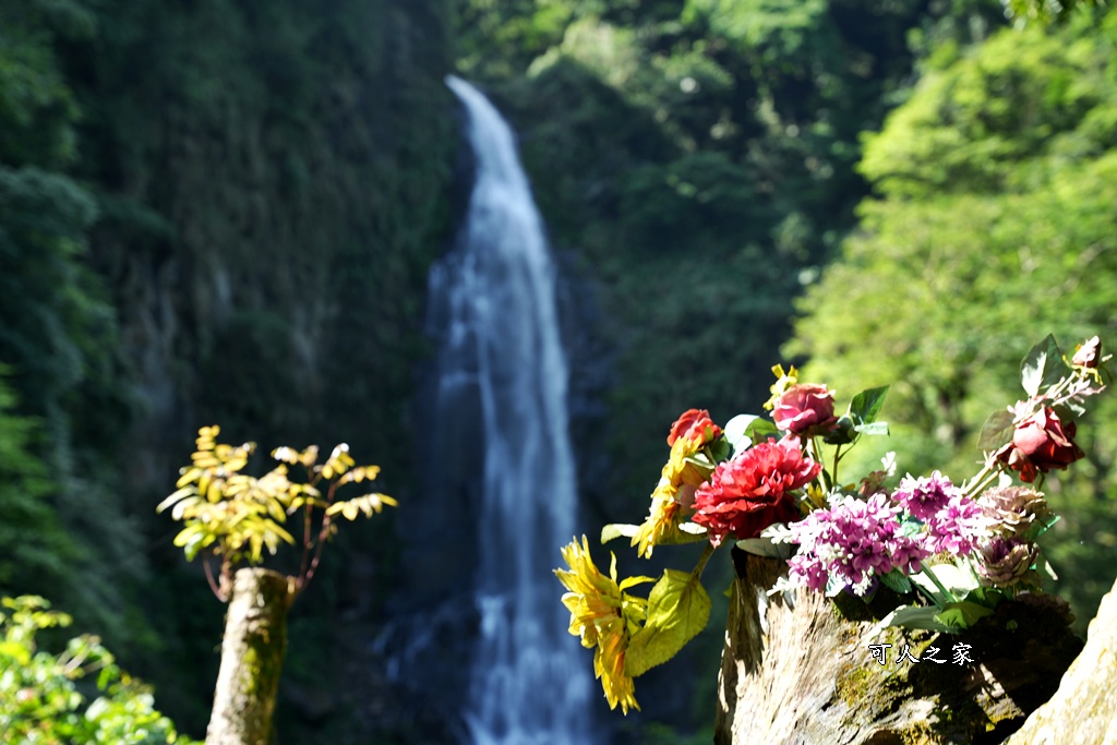 嘉義竹崎瀑布,觀音瀑布收費資訊,觀音瀑布最新瀑布 嘉義竹崎瀑布,觀音瀑布收費資訊,觀音瀑布最新瀑布