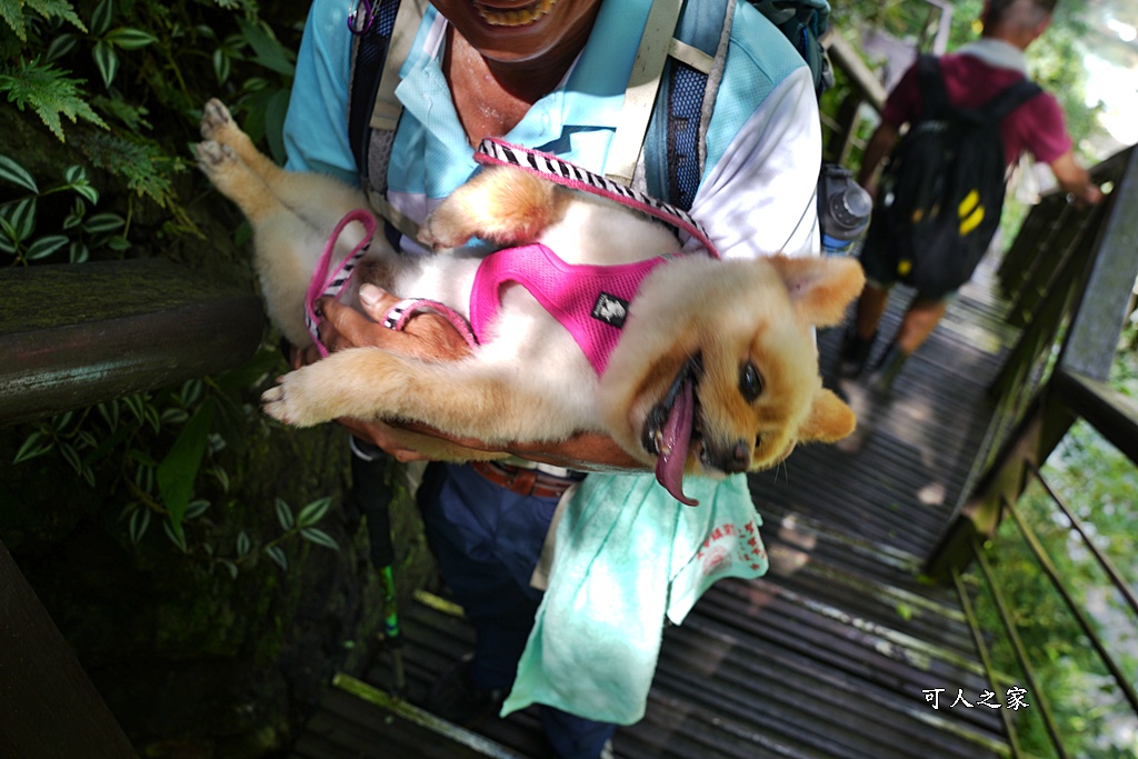 嘉義竹崎瀑布,觀音瀑布收費資訊,觀音瀑布最新瀑布 嘉義竹崎瀑布,觀音瀑布收費資訊,觀音瀑布最新瀑布