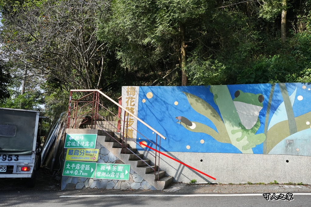 嘉義景點,嘉義梅山,太平雲梯,女性登山,小百岳#057,梨子腳山步道,登山步道,絕美山景,輕奢茶園,輕鬆攻頂