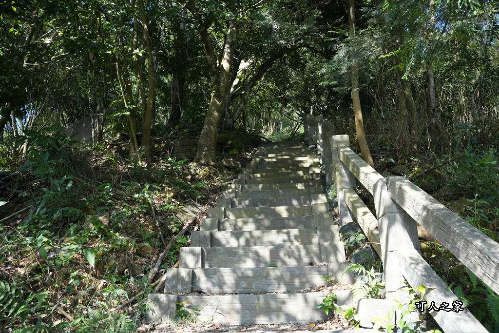嘉義景點,嘉義梅山,太平雲梯,女性登山,小百岳#057,梨子腳山步道,登山步道,絕美山景,輕奢茶園,輕鬆攻頂