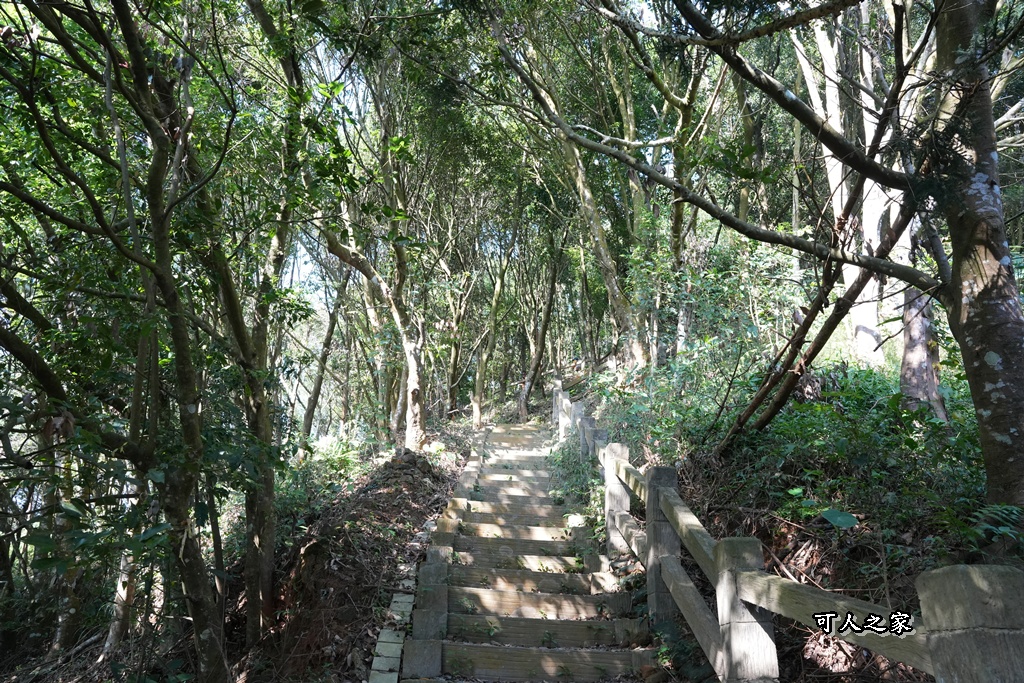 嘉義景點,嘉義梅山,太平雲梯,女性登山,小百岳#057,梨子腳山步道,登山步道,絕美山景,輕奢茶園,輕鬆攻頂