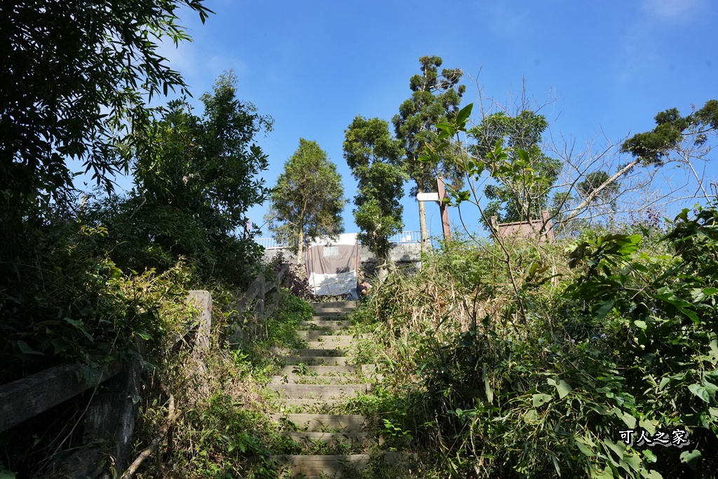 嘉義景點,嘉義梅山,太平雲梯,女性登山,小百岳#057,梨子腳山步道,登山步道,絕美山景,輕奢茶園,輕鬆攻頂