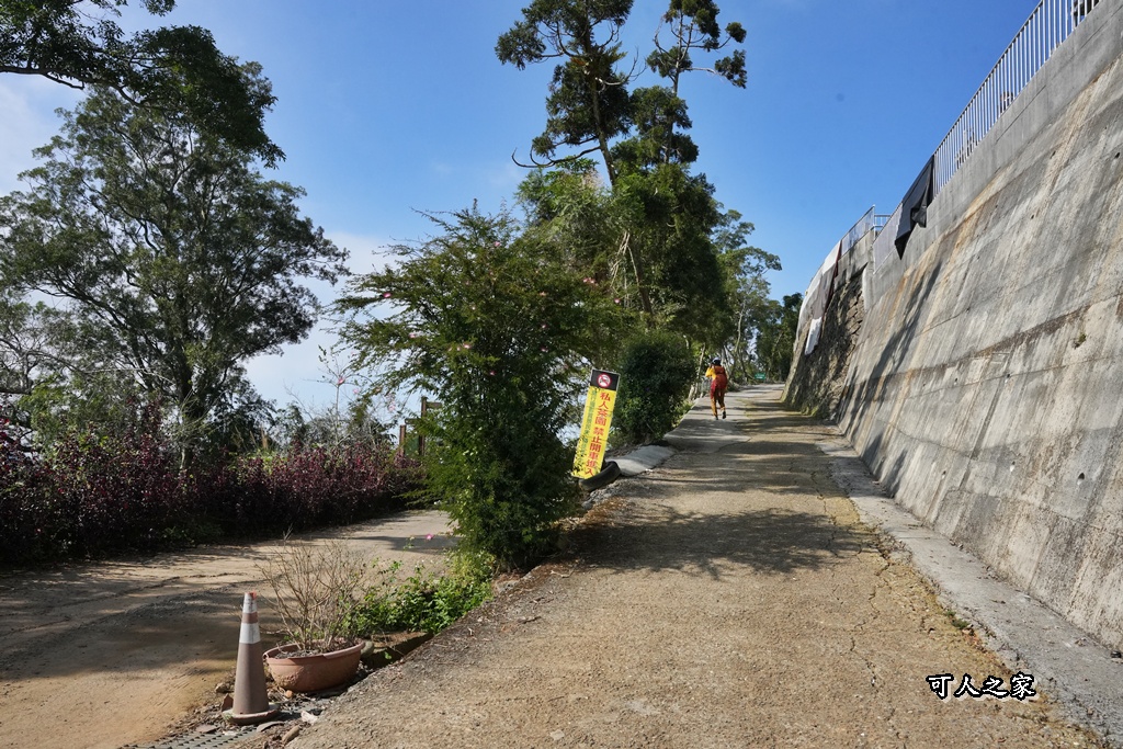 嘉義景點,嘉義梅山,太平雲梯,女性登山,小百岳#057,梨子腳山步道,登山步道,絕美山景,輕奢茶園,輕鬆攻頂