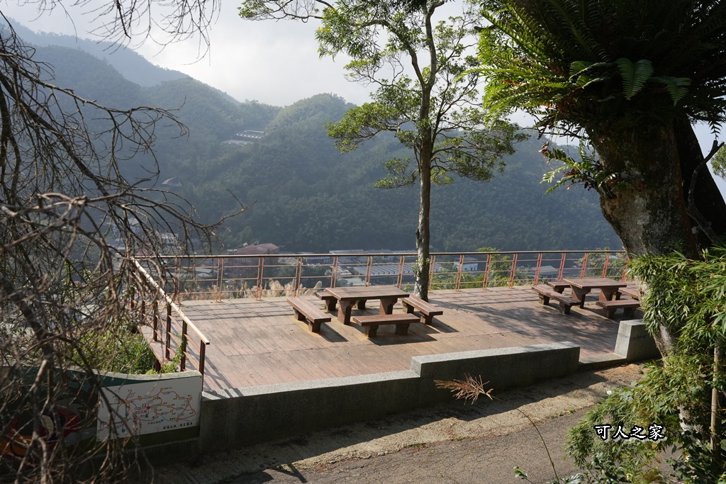 嘉義景點,嘉義梅山,太平雲梯,女性登山,小百岳#057,梨子腳山步道,登山步道,絕美山景,輕奢茶園,輕鬆攻頂