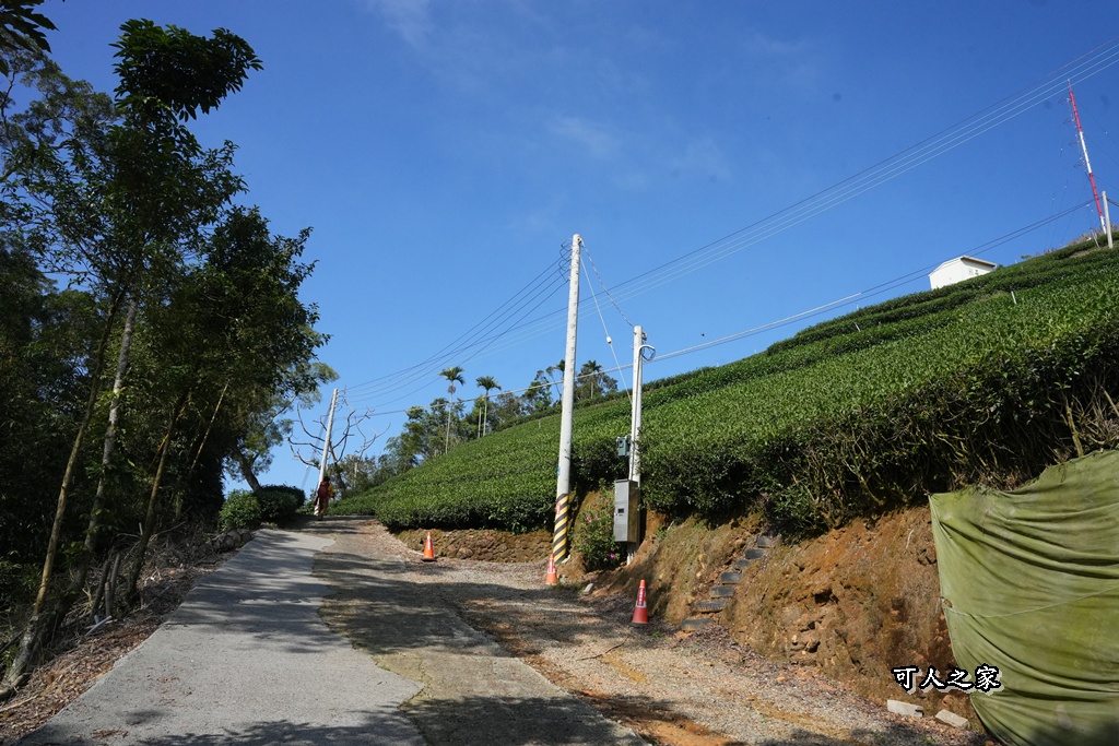 嘉義景點,嘉義梅山,太平雲梯,女性登山,小百岳#057,梨子腳山步道,登山步道,絕美山景,輕奢茶園,輕鬆攻頂