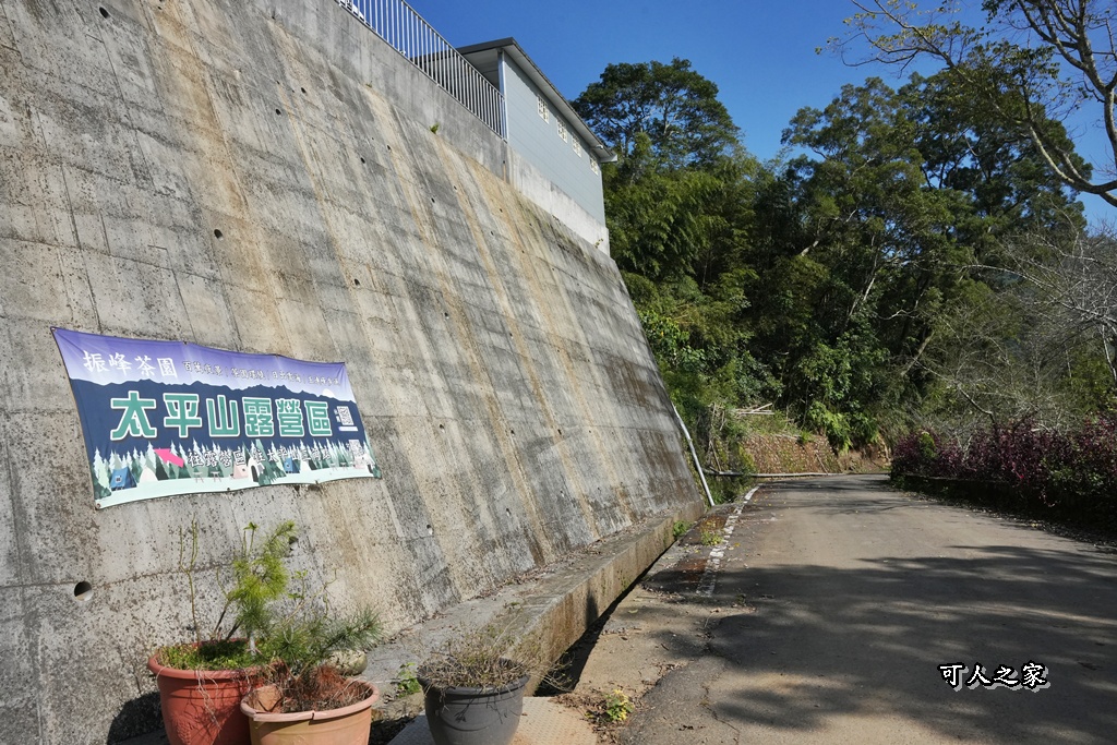 嘉義景點,嘉義梅山,太平雲梯,女性登山,小百岳#057,梨子腳山步道,登山步道,絕美山景,輕奢茶園,輕鬆攻頂
