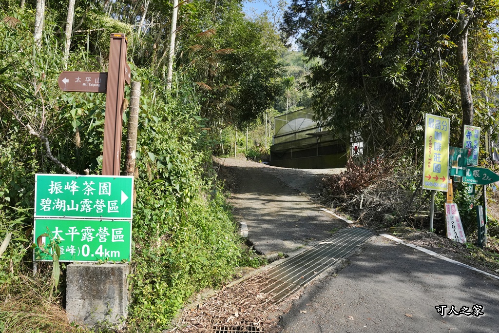 嘉義景點,嘉義梅山,太平雲梯,女性登山,小百岳#057,梨子腳山步道,登山步道,絕美山景,輕奢茶園,輕鬆攻頂