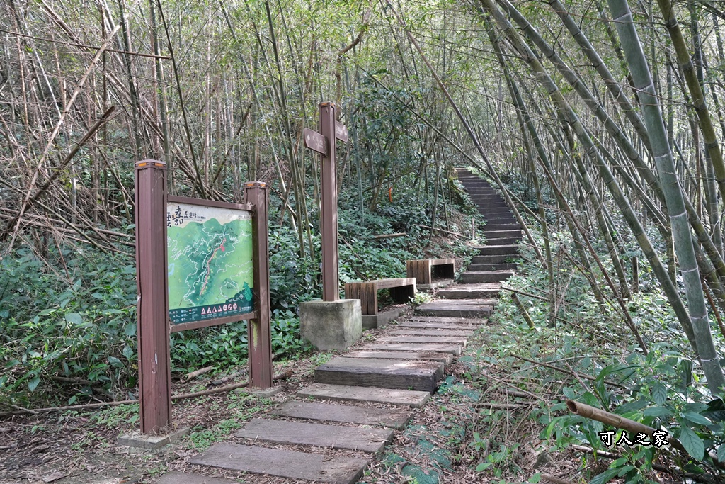 網站近期文章：嘉義梅山【梨子腳山】小百岳#57沿路茶園、竹林與遼闊山景，遇見迷人的雲霧，仙氣十足！