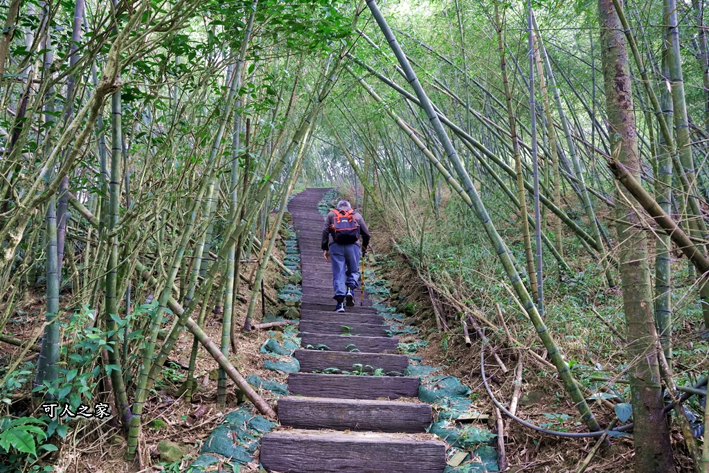 嘉義景點,嘉義梅山,太平雲梯,女性登山,小百岳#057,梨子腳山步道,登山步道,絕美山景,輕奢茶園,輕鬆攻頂