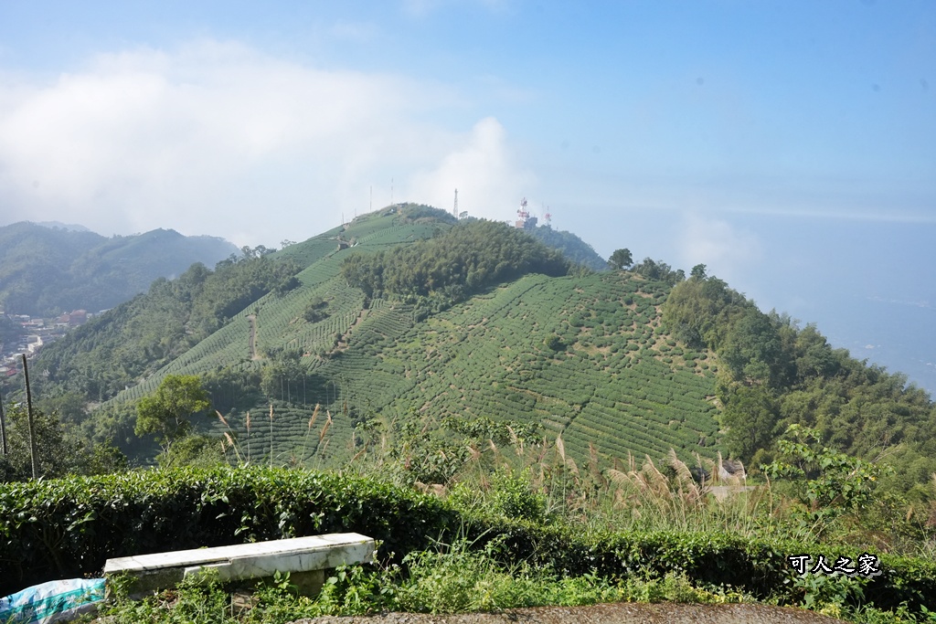 嘉義景點,嘉義梅山,太平雲梯,女性登山,小百岳#057,梨子腳山步道,登山步道,絕美山景,輕奢茶園,輕鬆攻頂