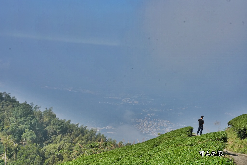 嘉義景點,嘉義梅山,太平雲梯,女性登山,小百岳#057,梨子腳山步道,登山步道,絕美山景,輕奢茶園,輕鬆攻頂