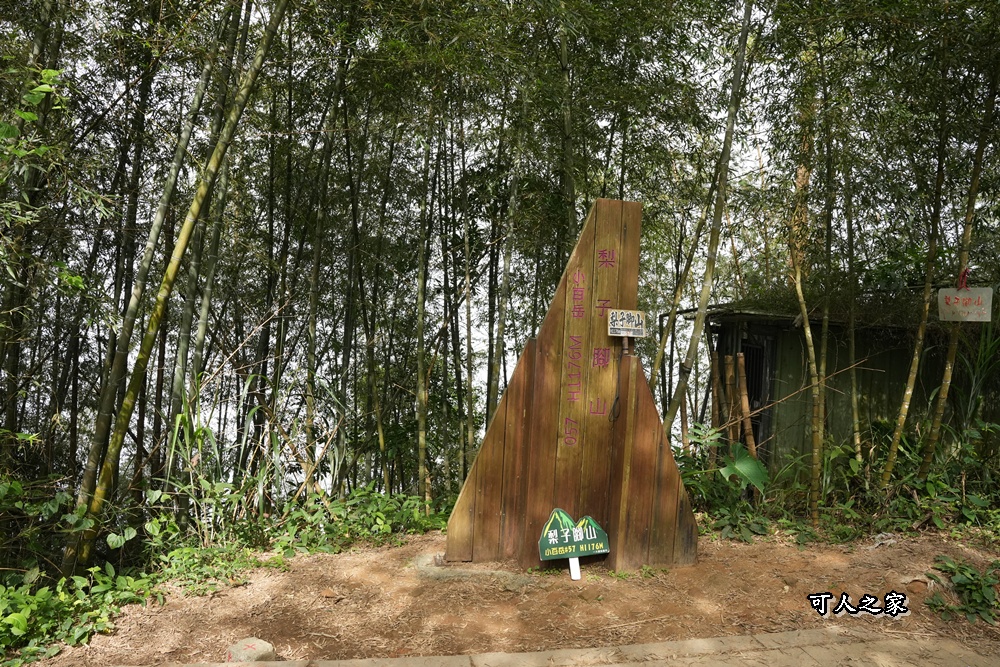 嘉義景點,嘉義梅山,太平雲梯,女性登山,小百岳#057,梨子腳山步道,登山步道,絕美山景,輕奢茶園,輕鬆攻頂