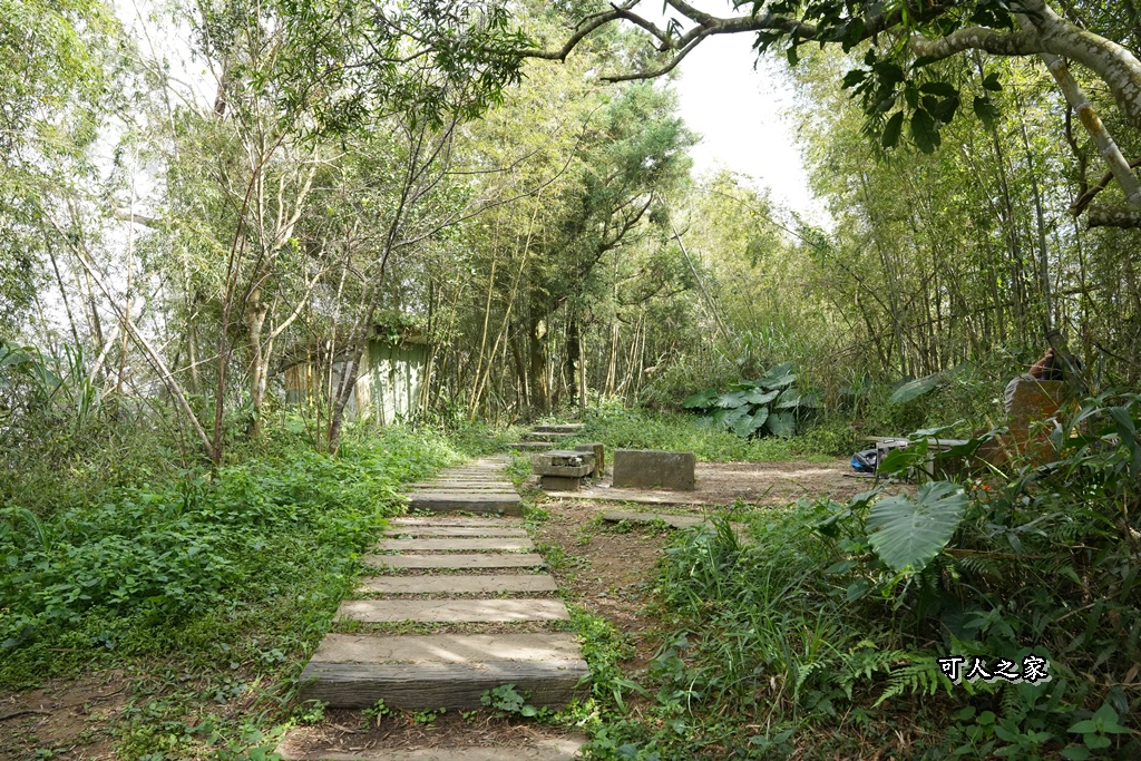 嘉義景點,嘉義梅山,太平雲梯,女性登山,小百岳#057,梨子腳山步道,登山步道,絕美山景,輕奢茶園,輕鬆攻頂