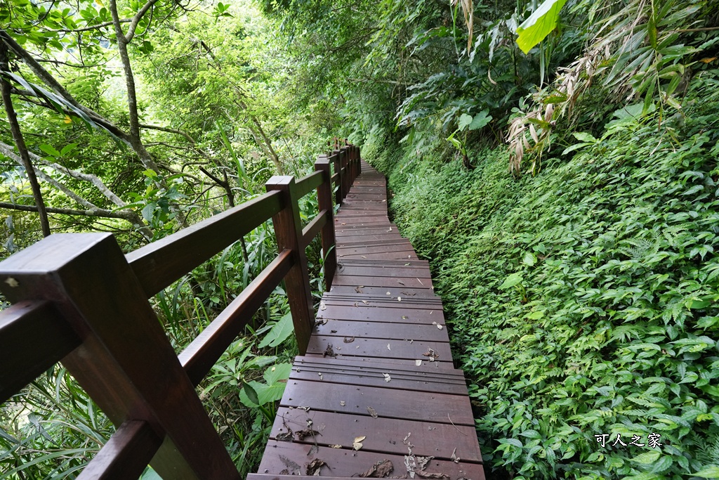 嘉義景點步道,青年嶺步道-新木棧道 嘉義景點步道,青年嶺步道-新木棧道