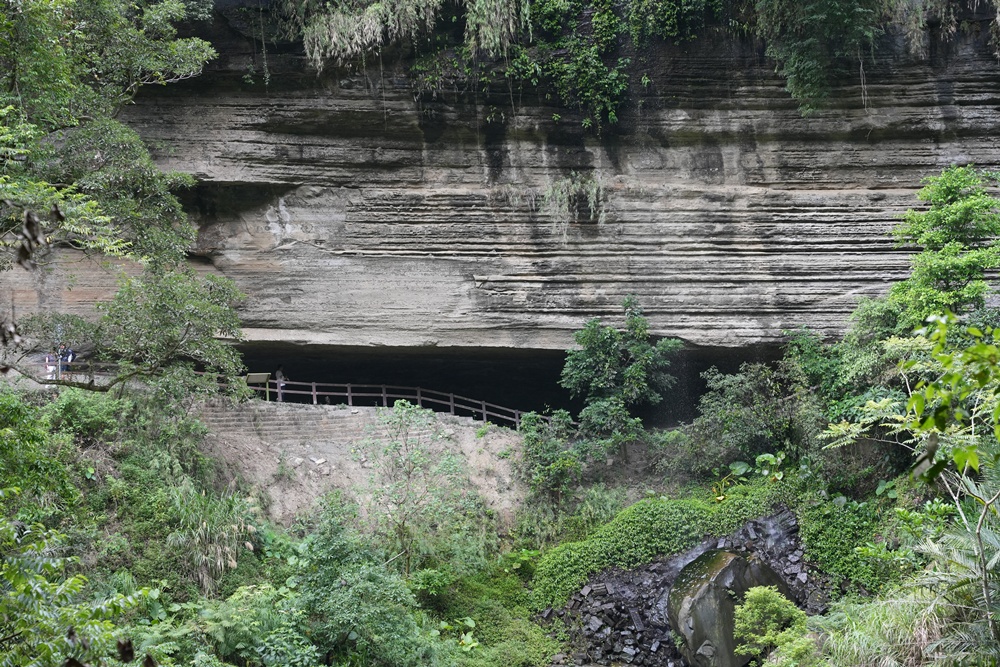 嘉義景點步道,青年嶺步道-新木棧道 嘉義景點步道,青年嶺步道-新木棧道