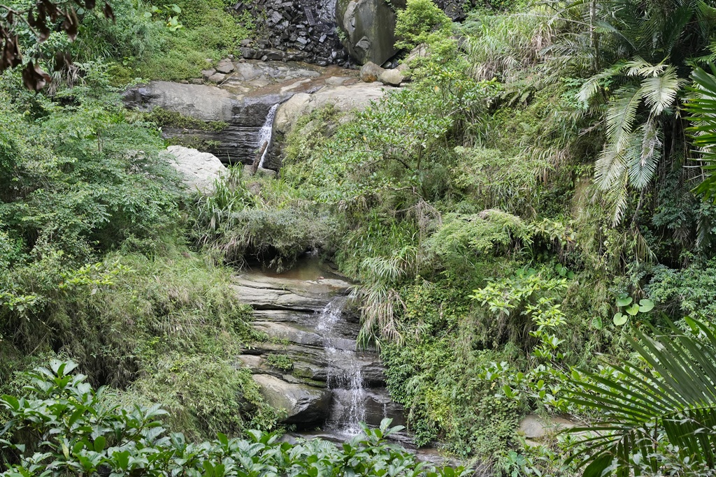 嘉義景點步道,青年嶺步道-新木棧道 嘉義景點步道,青年嶺步道-新木棧道