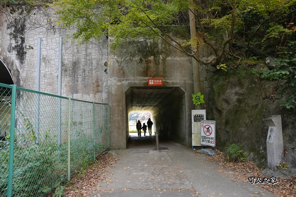 大阪箕面瀑布,大阪自由行,大阪賞楓景點,拍照打卡,日本秋季旅遊,楓葉見頃,瀧安寺紅橋,炸楓葉,箕面瀑布交通,箕面瀑布步道,賞楓攻略