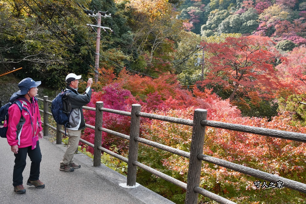 大阪箕面瀑布,大阪自由行,大阪賞楓景點,拍照打卡,日本秋季旅遊,楓葉見頃,瀧安寺紅橋,炸楓葉,箕面瀑布交通,箕面瀑布步道,賞楓攻略