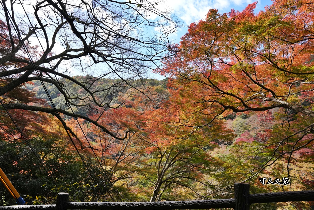 大阪箕面瀑布,大阪自由行,大阪賞楓景點,拍照打卡,日本秋季旅遊,楓葉見頃,瀧安寺紅橋,炸楓葉,箕面瀑布交通,箕面瀑布步道,賞楓攻略