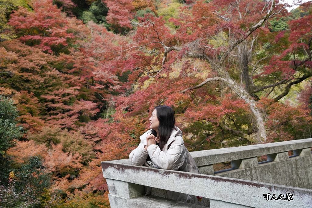 大阪箕面瀑布,大阪自由行,大阪賞楓景點,拍照打卡,日本秋季旅遊,楓葉見頃,瀧安寺紅橋,炸楓葉,箕面瀑布交通,箕面瀑布步道,賞楓攻略