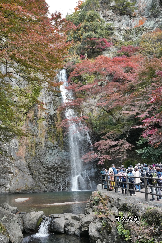 大阪箕面瀑布,大阪自由行,大阪賞楓景點,拍照打卡,日本秋季旅遊,楓葉見頃,瀧安寺紅橋,炸楓葉,箕面瀑布交通,箕面瀑布步道,賞楓攻略
