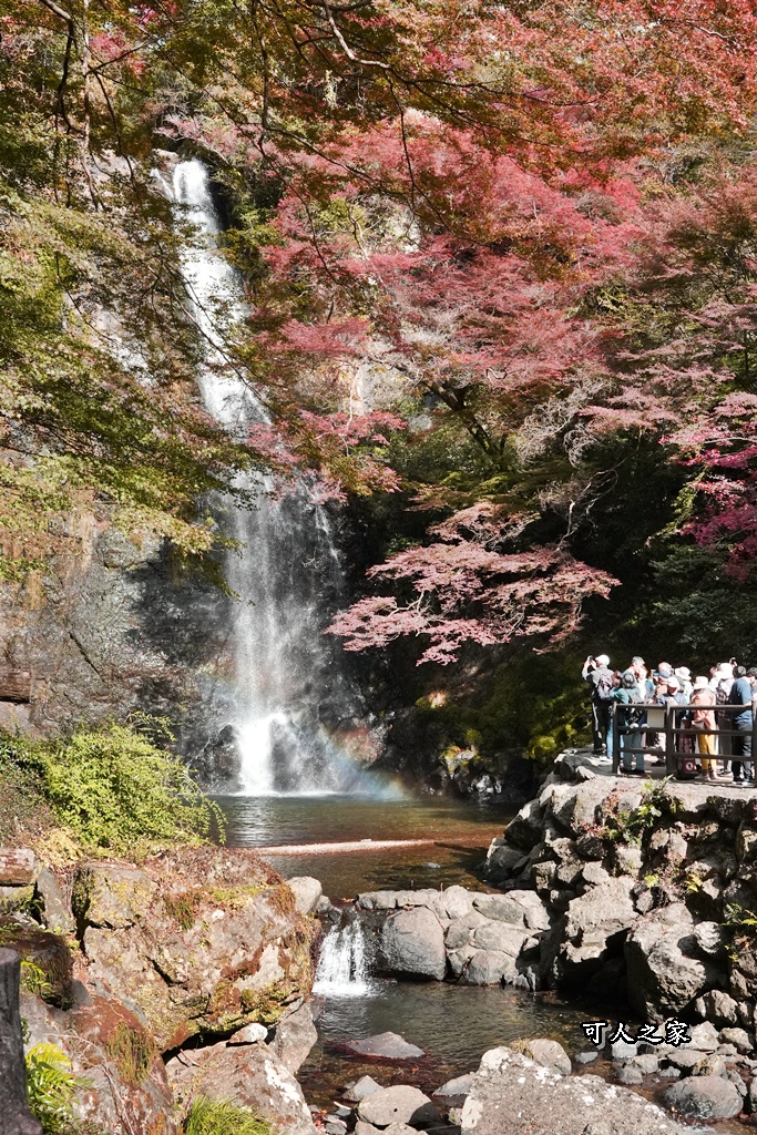 大阪箕面瀑布,大阪自由行,大阪賞楓景點,拍照打卡,日本秋季旅遊,楓葉見頃,瀧安寺紅橋,炸楓葉,箕面瀑布交通,箕面瀑布步道,賞楓攻略