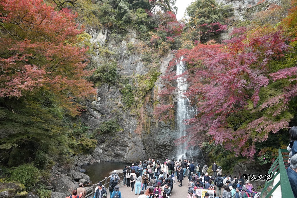 大阪箕面瀑布,大阪自由行,大阪賞楓景點,拍照打卡,日本秋季旅遊,楓葉見頃,瀧安寺紅橋,炸楓葉,箕面瀑布交通,箕面瀑布步道,賞楓攻略