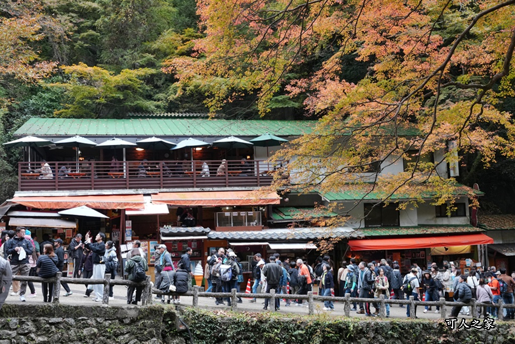 大阪箕面瀑布,大阪自由行,大阪賞楓景點,拍照打卡,日本秋季旅遊,楓葉見頃,瀧安寺紅橋,炸楓葉,箕面瀑布交通,箕面瀑布步道,賞楓攻略