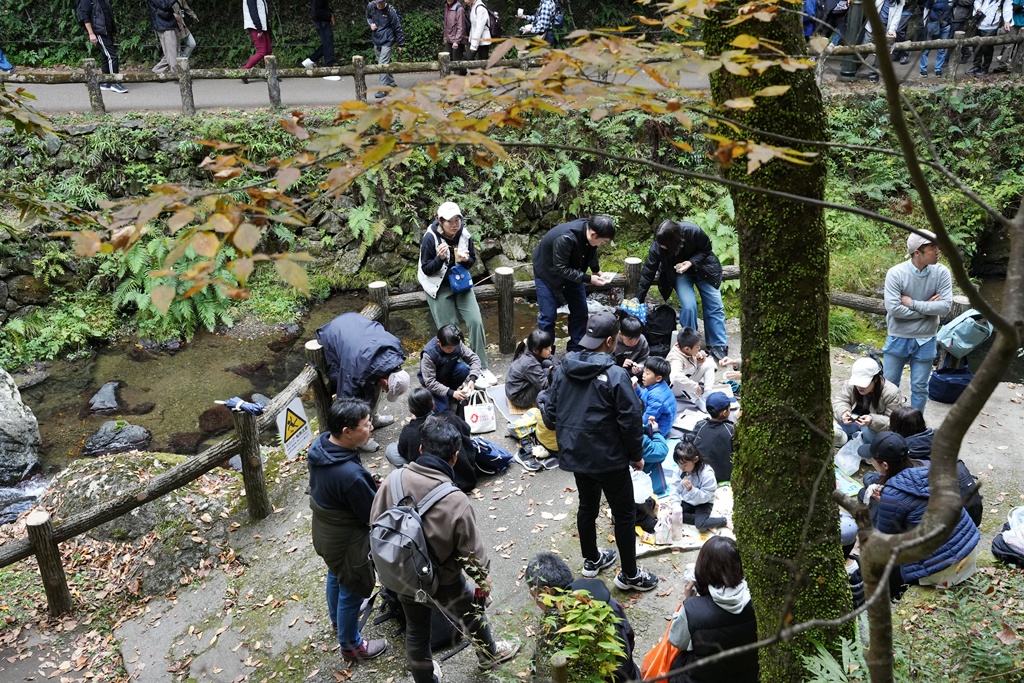大阪箕面瀑布,大阪自由行,大阪賞楓景點,拍照打卡,日本秋季旅遊,楓葉見頃,瀧安寺紅橋,炸楓葉,箕面瀑布交通,箕面瀑布步道,賞楓攻略