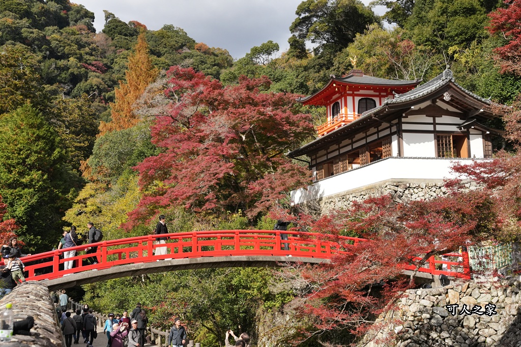 大阪箕面瀑布,大阪自由行,大阪賞楓景點,拍照打卡,日本秋季旅遊,楓葉見頃,瀧安寺紅橋,炸楓葉,箕面瀑布交通,箕面瀑布步道,賞楓攻略