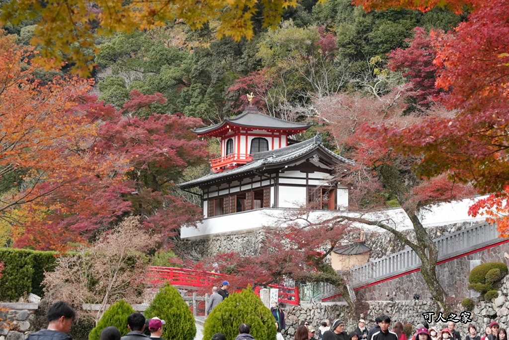 大阪箕面瀑布,大阪自由行,大阪賞楓景點,拍照打卡,日本秋季旅遊,楓葉見頃,瀧安寺紅橋,炸楓葉,箕面瀑布交通,箕面瀑布步道,賞楓攻略