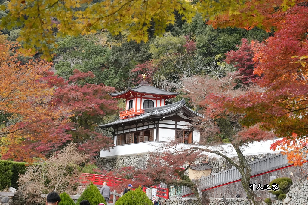 網站近期文章：【2025大阪箕面瀑布賞楓攻略】交通、步道、美景全整理，瀧安寺紅橋美哭、炸楓葉真的好吃嗎？