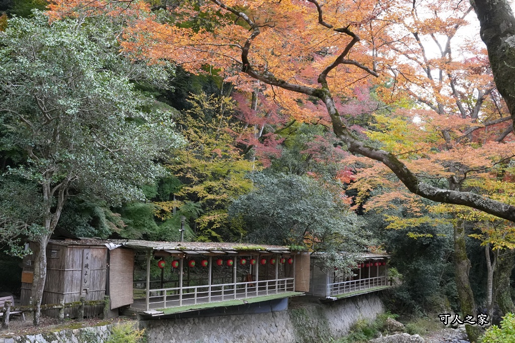大阪箕面瀑布,大阪自由行,大阪賞楓景點,拍照打卡,日本秋季旅遊,楓葉見頃,瀧安寺紅橋,炸楓葉,箕面瀑布交通,箕面瀑布步道,賞楓攻略